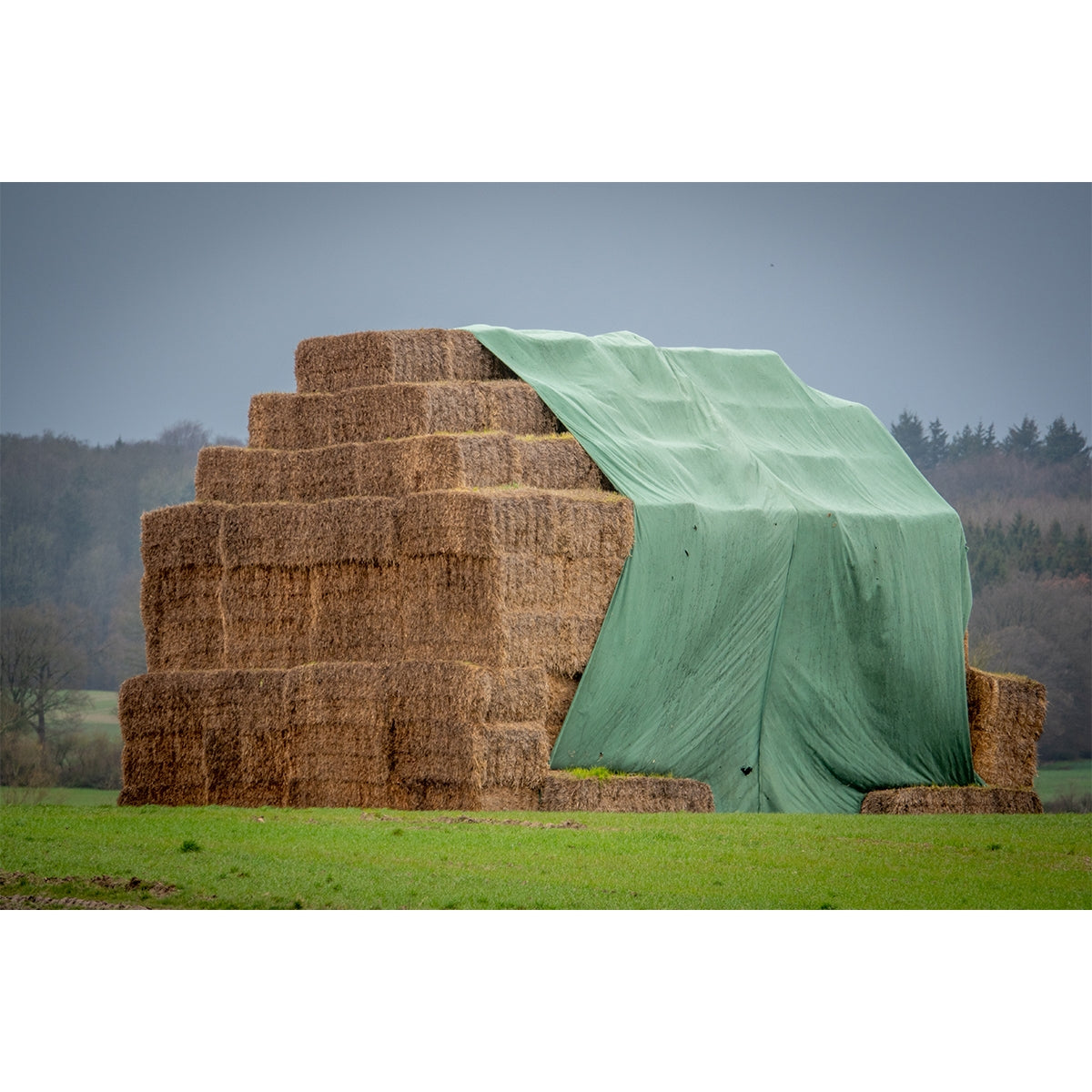 Fedőponyva bálákhoz szénához és szalmához zöld 12X25m, 140gr Breckner Germany