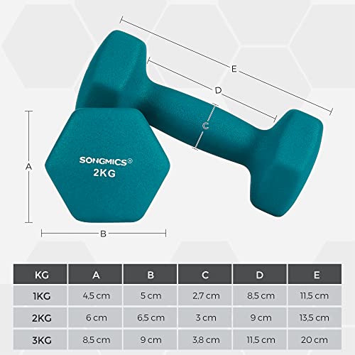 SONGMICS Hexa Súlyzók Készlet Állvánnyal - 2 x 1 kg, 2 x 2 kg, 2 x 3 kg, Neoprene Matt Kivitel, Kézi Súlyok Otthoni Edzéshez, Lime, Tengerzöld és Világosszürke